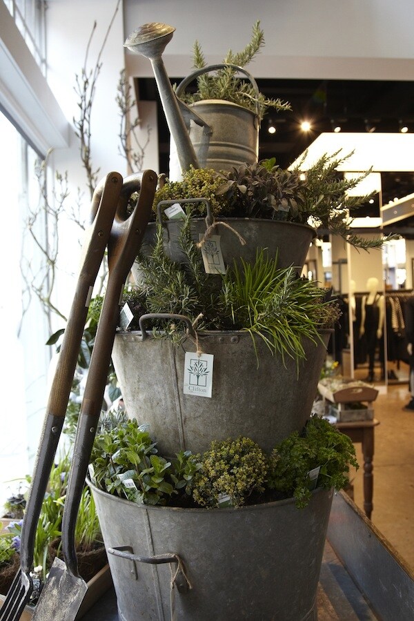 COS x Clifton Nurseries