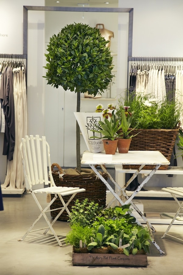 COS x Clifton Nurseries