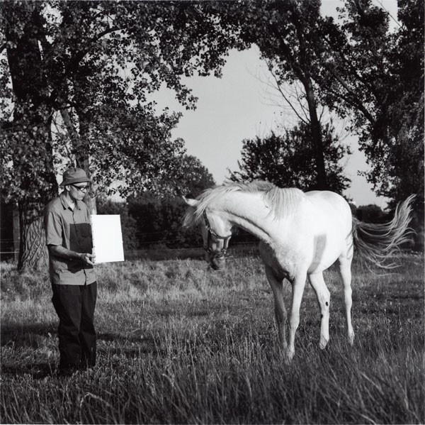 Invisible Painting (Horse) by Bruno Jakob