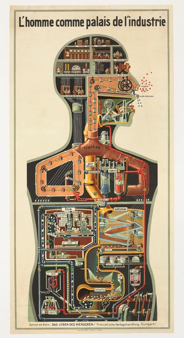 The human body with physiological activities represented as 