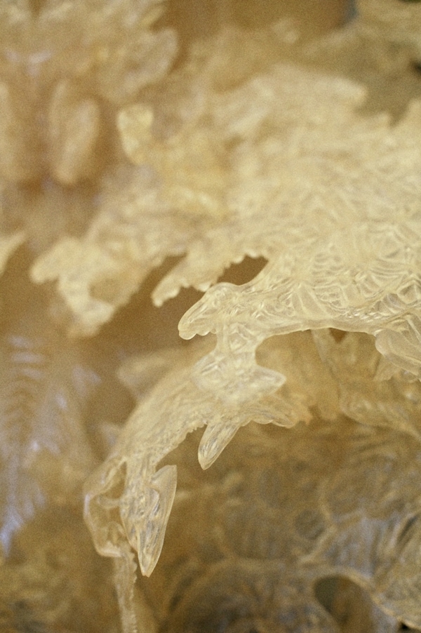 Iris van Herpen, couture A/W12