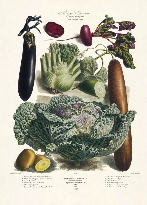 The Vegetable Garden, 1850–1895 | AnOther
