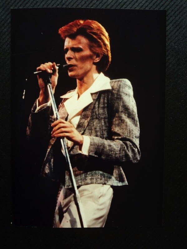 David Bowie