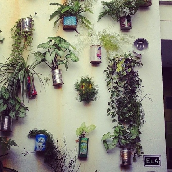 Creative gardening in S&#227;o Paulo