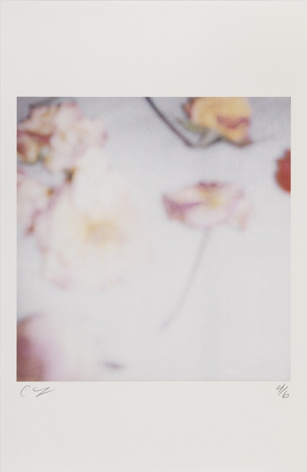 Cy Twombly, Light Flowers I (Gaeta), 2008