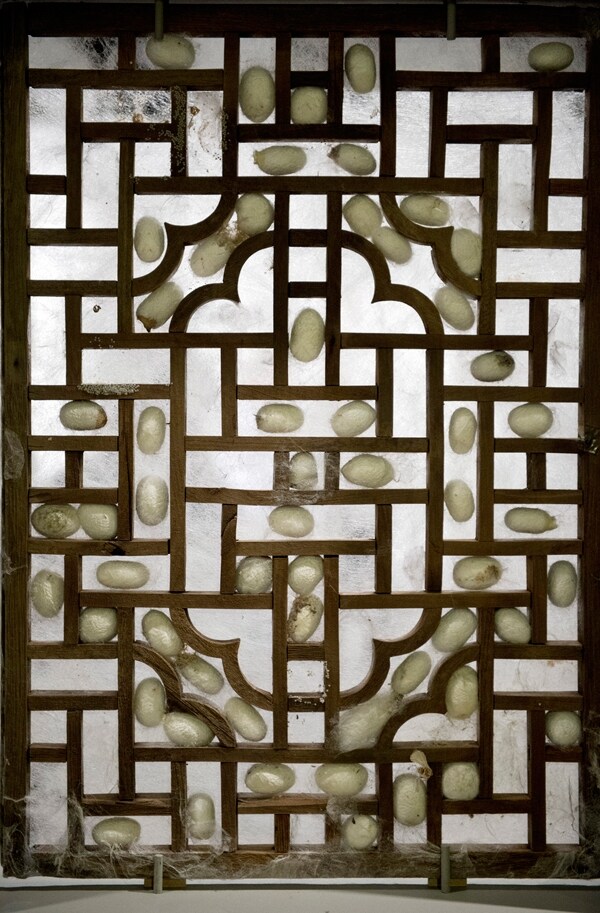Windows (2012) by Liang Shaoji