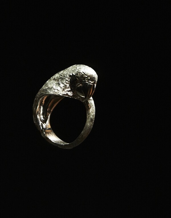 Ring by Jordan Askill