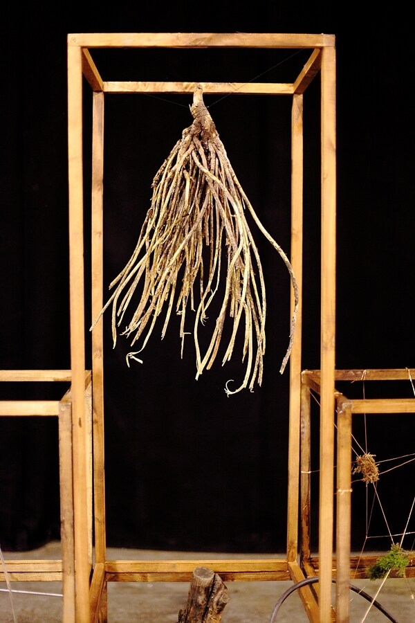 Set dressing at Muskmelon
