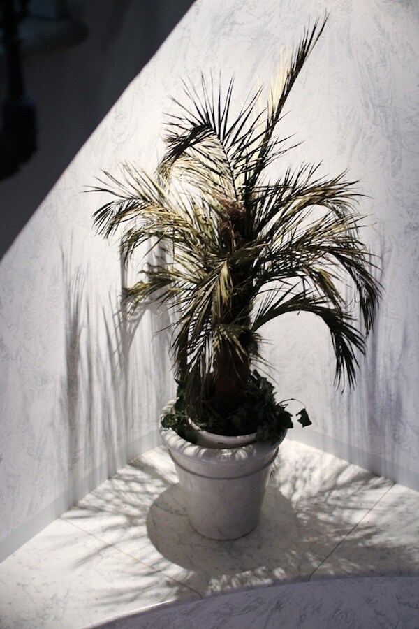 Backstage at Jil Sander S/S13