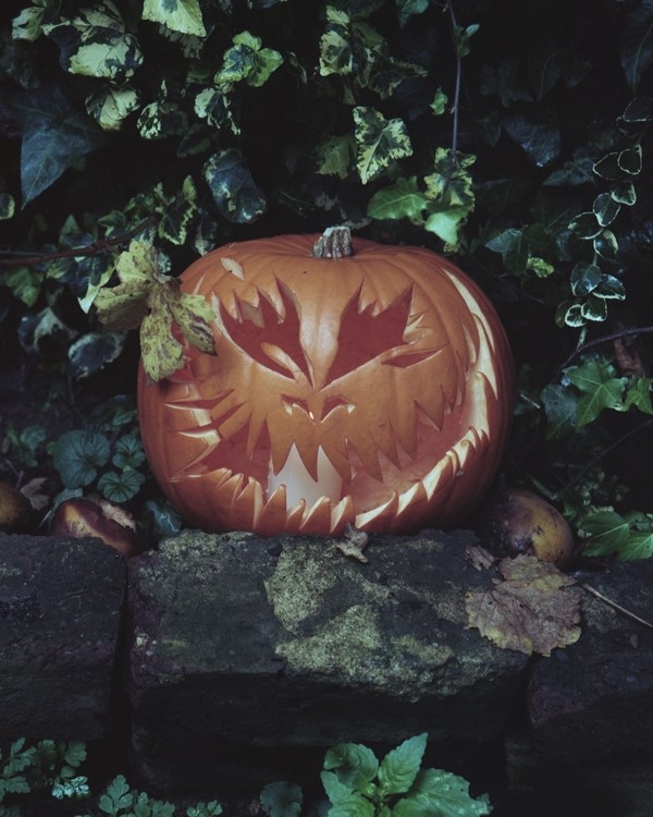 Pumpkin by Katie Shillingford