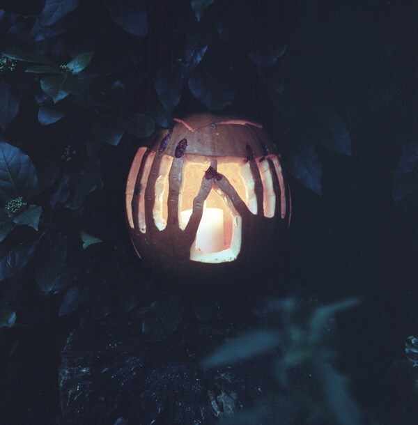 Pumpkin by Marian Newman