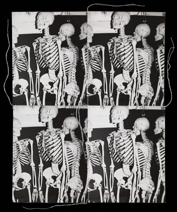 Andy Warhol, Untitled, 1987