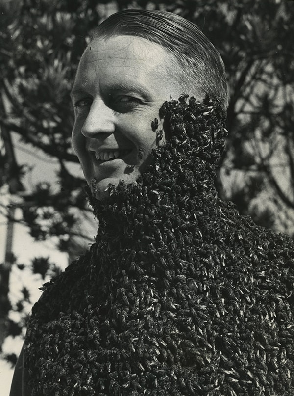 Peter Wrinch-Schultz, Curiosities - Man with Bees, 1950s