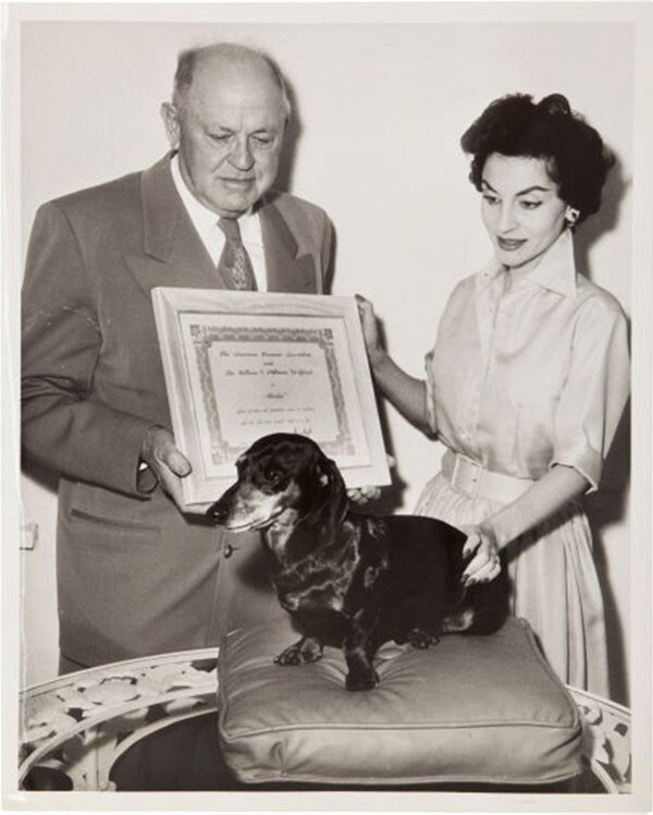 A Group of Awards from The American Humane Association for &quot;