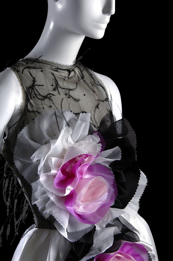 Rodarte evening dress: white, red, and black silk organza, f