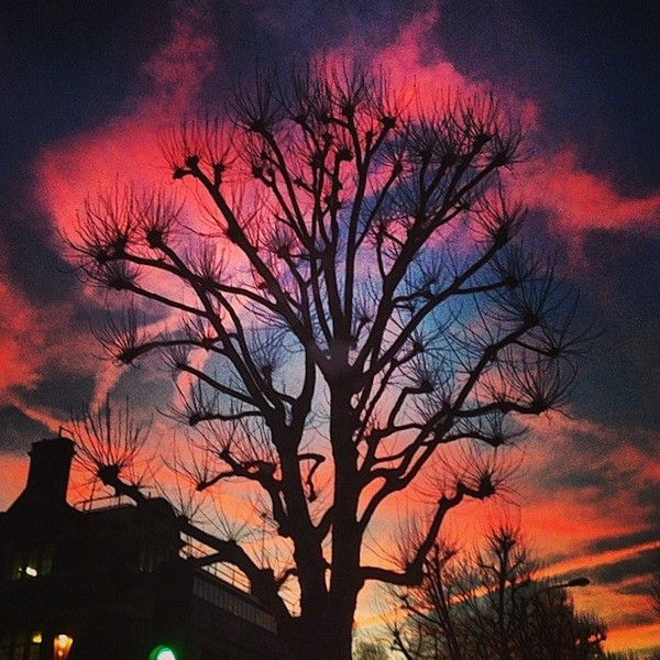 Ladbroke Grove, courtesy of Sam McKnight (@sammcknight1)