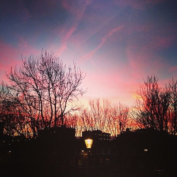 Columbia Road, courtesy of Natalie Busuttil (@favouriteaunti