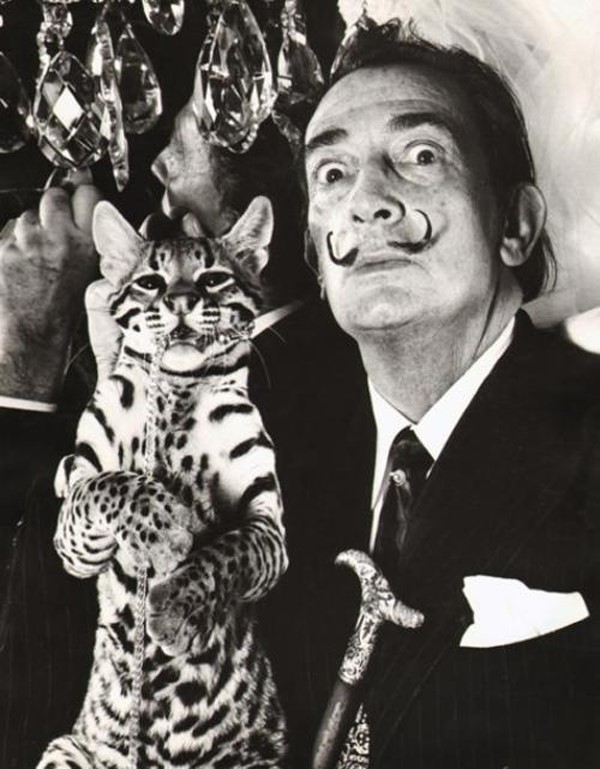 Salvador Dalí's Ocelot | AnOther