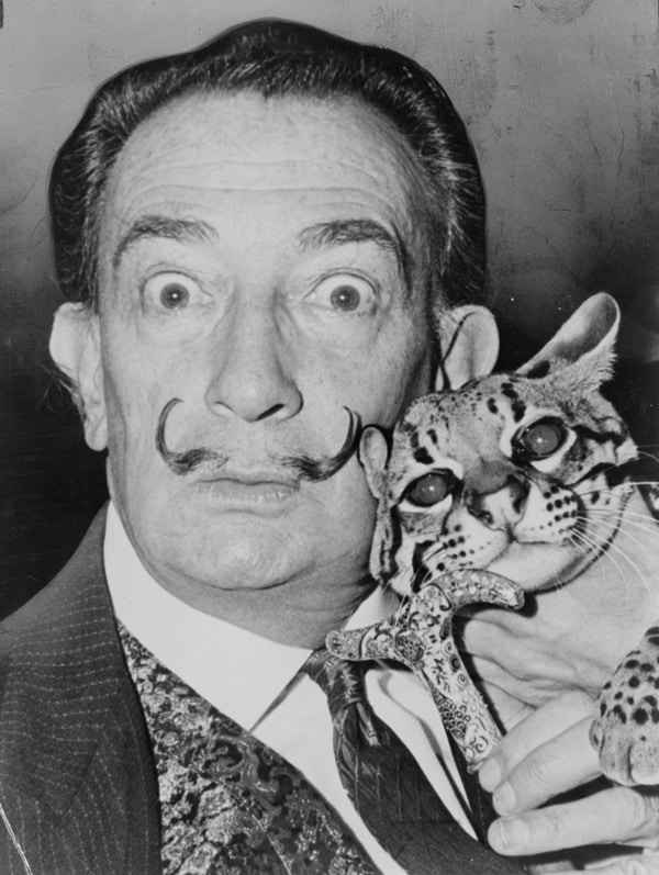Dal&#237; and Babou, 1965