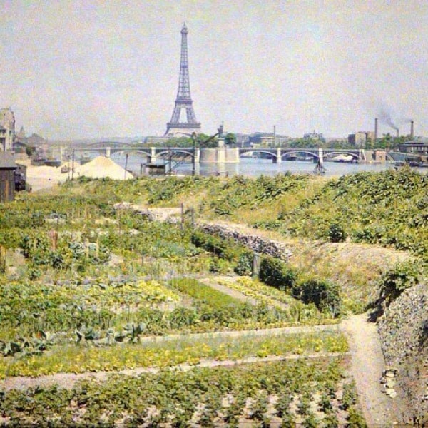 Paris garden 1903