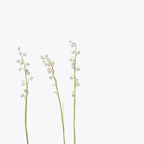 Inez van Lamsweerde and Vinoodh Matadin, 3 Lily of the Valle