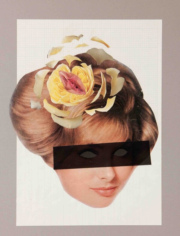 Roses by Sadie Hennessy