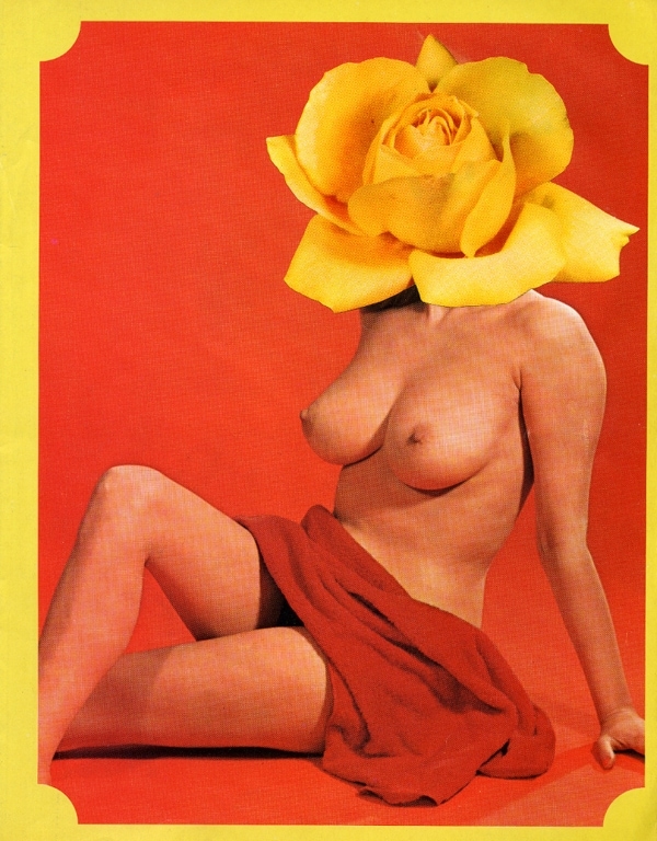 The Paradise Experiments Boudoir V by Linder