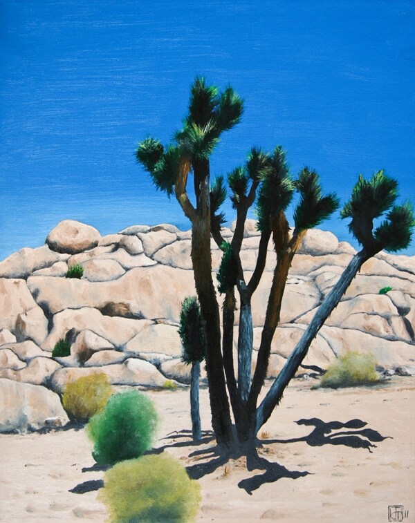 Yucca Brevifolia, Joshua Tree National Park, CA (#2)