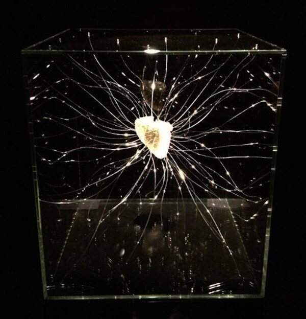 The Electric Sky, Paul Fryer, 2012