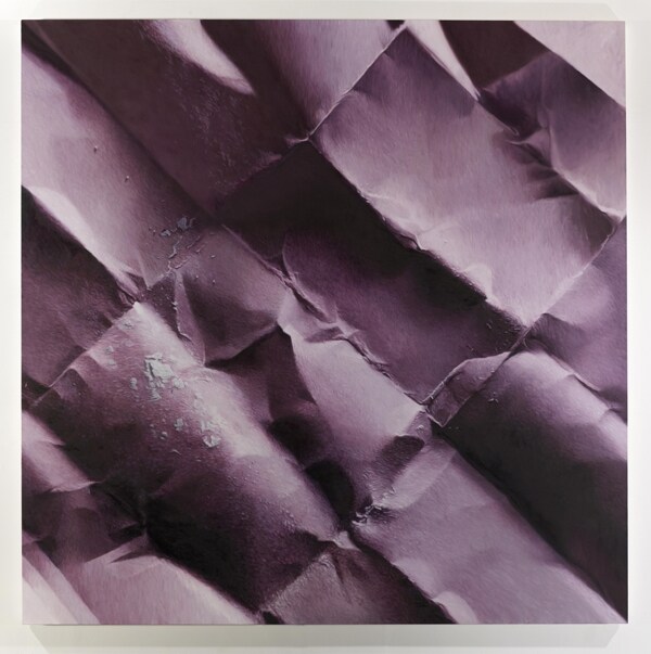 Elysium by Mat Collishaw