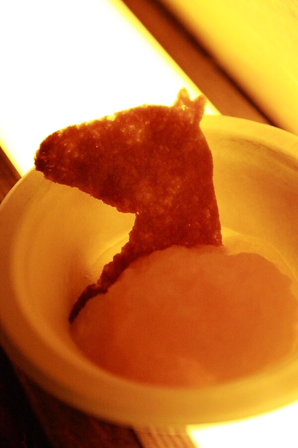 Baniwa ice with horse biscuit