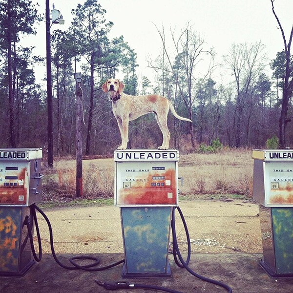 Sparkman, Arkansas, January 11, 2012