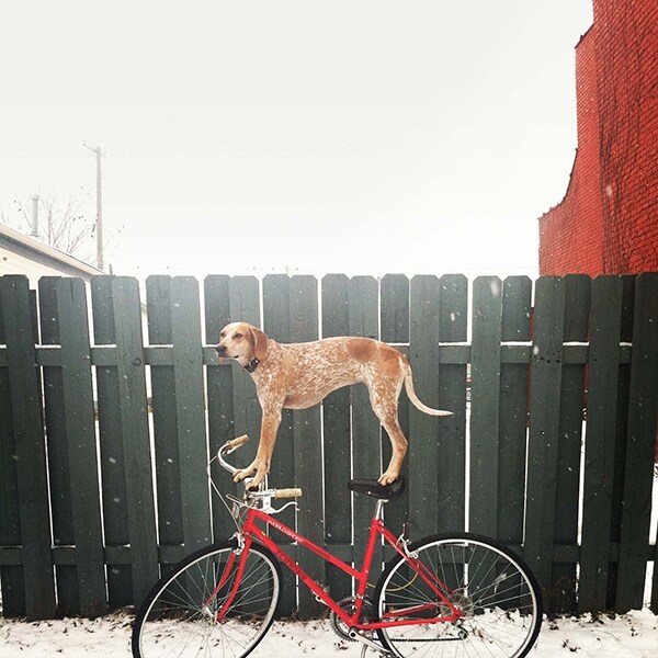 Detroit, Michigan, February 14, 2012
