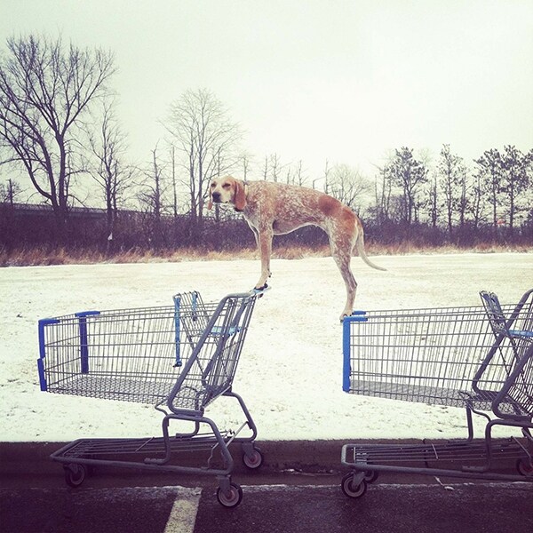 Tomah, Wisconsin, February 21, 2012