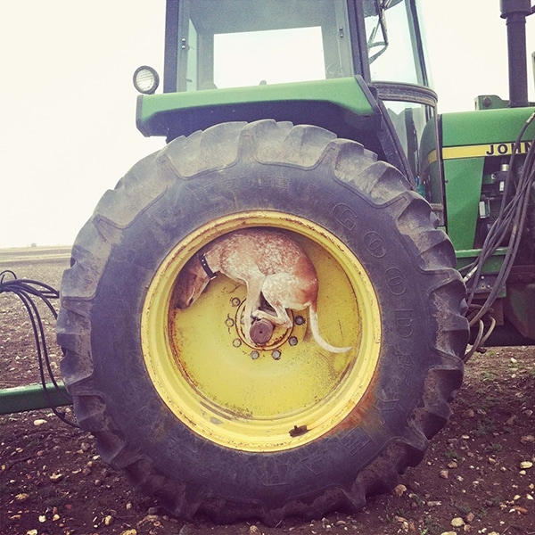 Tioga, North Dakota, April 15, 2012