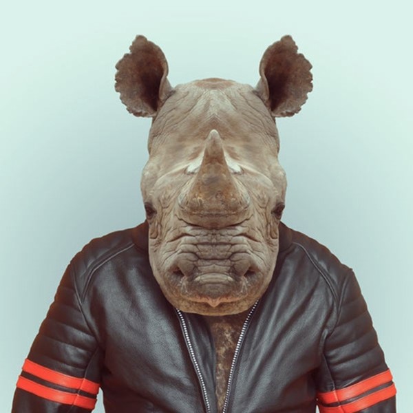 Rhino from Zoo Portraits by Yago Partal
