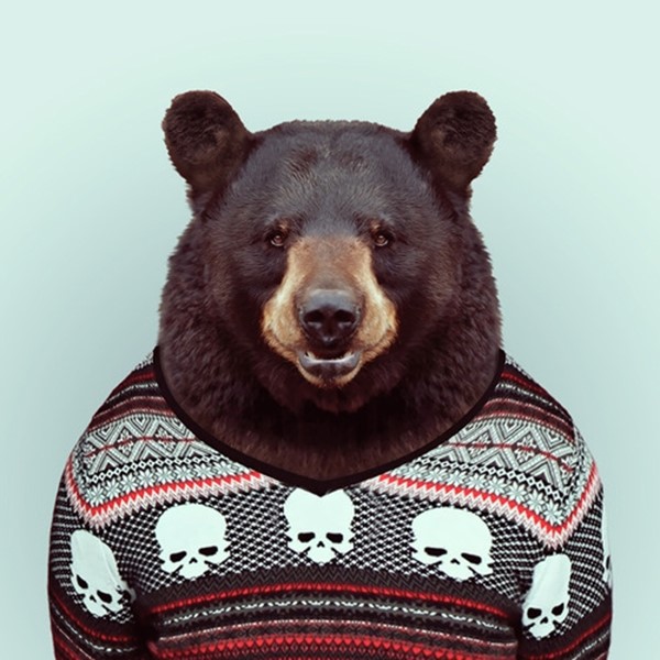 Bear from Zoo Portraits by Yago Partal