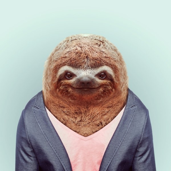 Sloth from Zoo Portraits by Yago Partal