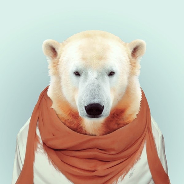 Polar bear from Zoo Portraits by Yago Partal