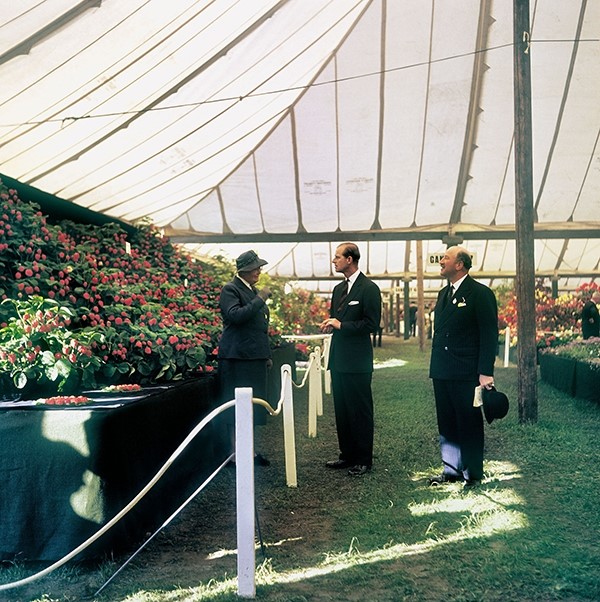 Undated photograph by Valerie Finnis of the Waterperry stand