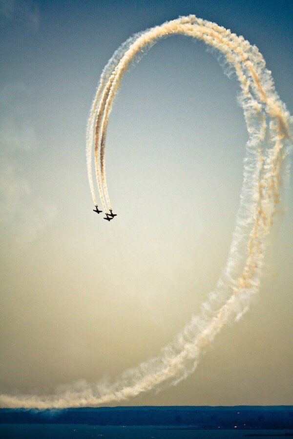 Courtesy of Put Your Paws Up