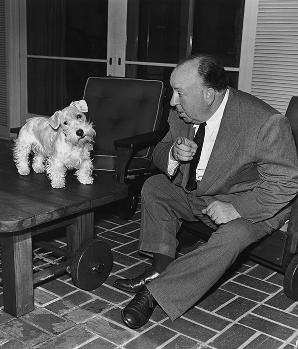 Hitchcock with a Sealyham terrier, 1940s