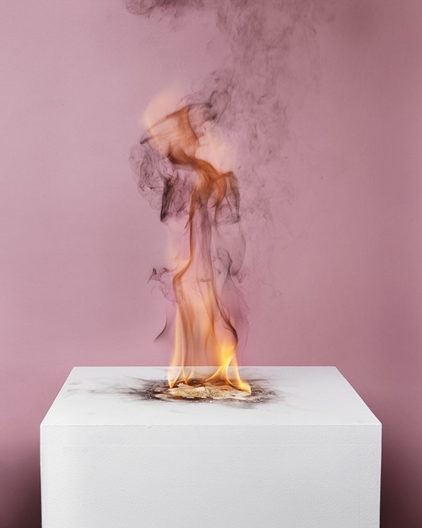 Michael B&#252;hler-Rose: Camphor Flame on Pedestal (0433), 2010
