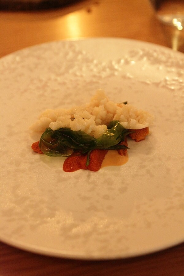 Sea urchin with frozen sea water by Nuno Mendes at the CRAFT