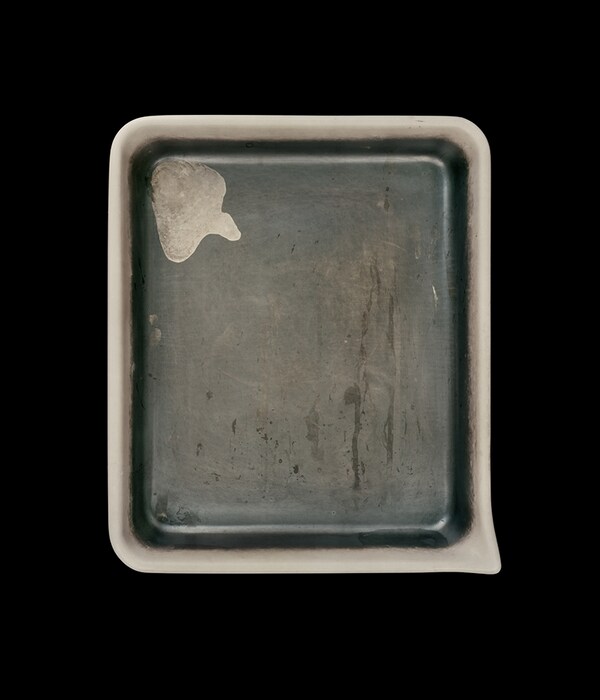 Elliott Erwitt&#39;s Developer Tray