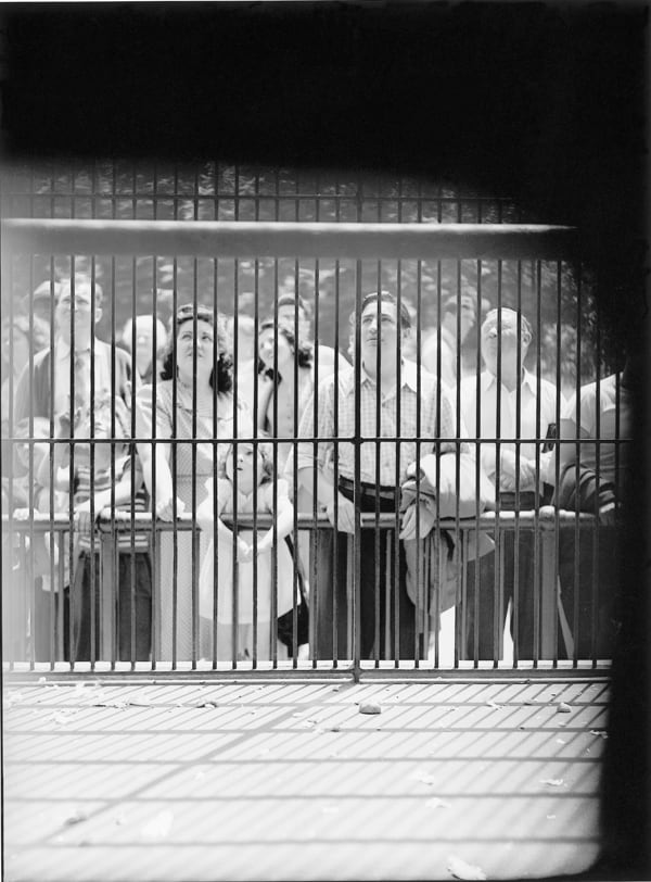 Observing People Observing Monkeys, May 27, 1946