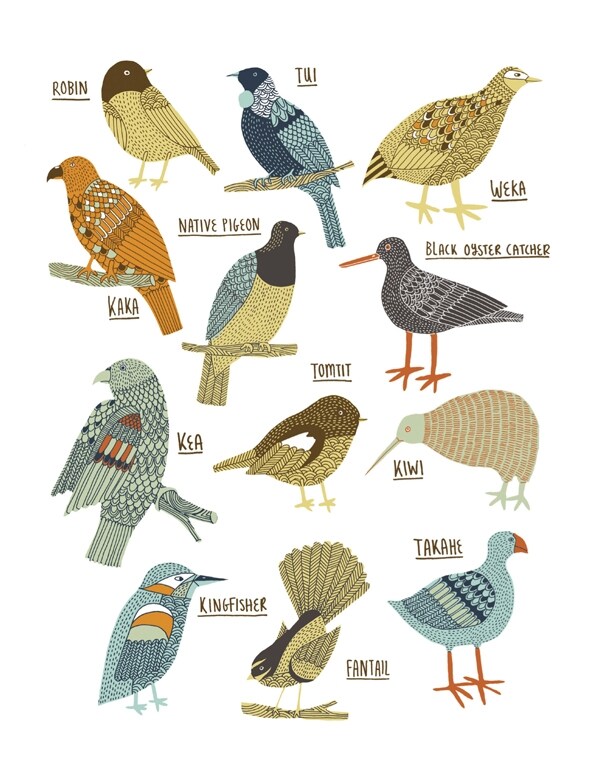Birds of New Zealand, 2013
