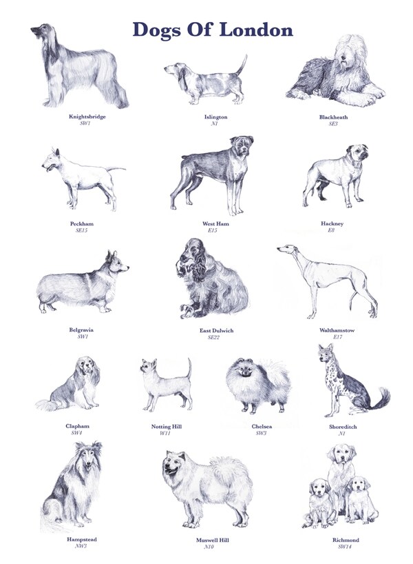 Dogs of London, 2008