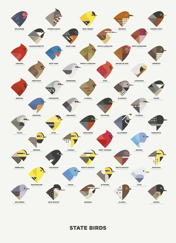 State Birds, 2013