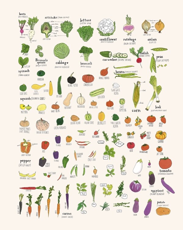 Vegetable Chart, 2012